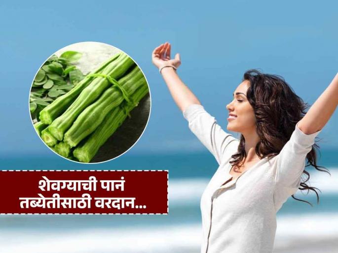 Moringa leaves are beneficial for health know benefits | शेंगा तर खातोच आता पानंही खा! शेवगा म्हणजे अमृत आणि पानांत दडलंय भरपूर पोषण!
