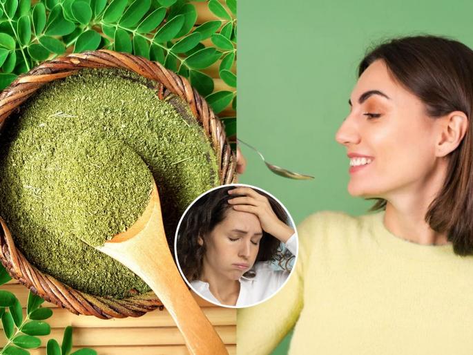 Moringa Leaves Health Benefits That You Should Know The incredible benefits of having fresh moringa leaves powder daily | शेवग्याला म्हणतात सुपरफूड-शेंगा खा नाहीतर खा चमचाभर शेवगा पावडर! शरीर होईल पोलादी स्ट्रॉँग...