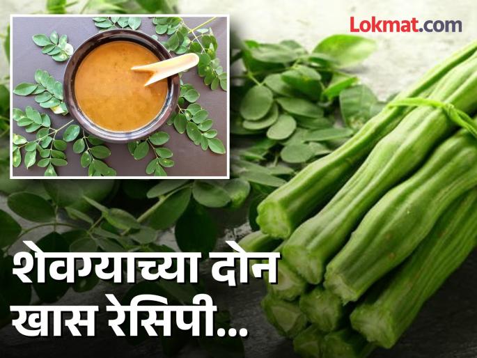 2 Recipes that can be made using moringa | शेवग्याच्या दोन रेसिपी ज्याद्वारे शरीराला मिळतात अनेक फायदे, जाणून घ्या कशा बनवाल! 2 Recipes that can be made using moringa | शेवग्याच्या दोन रेसिपी ज्याद्वारे शरीराला मिळतात अनेक फायदे, जाणून घ्या कशा बनवाल!