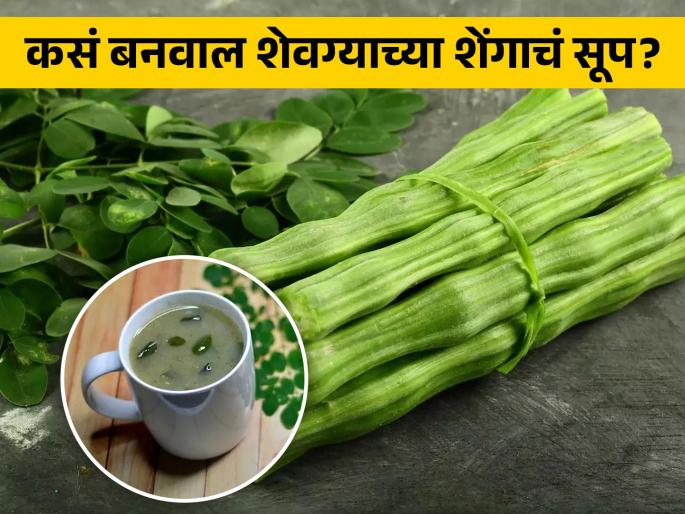 Amazing Health Benefits of Eating Drumstick or Moringa soup | शेवग्याच्या शेंगांची भाजीच नाही तर सूप पिऊनही मिळतात खूपसारे फायदे, जाणून घ्या कोणते! Amazing Health Benefits of Eating Drumstick or Moringa soup | शेवग्याच्या शेंगांची भाजीच नाही तर सूप पिऊनही मिळतात खूपसारे फायदे, जाणून घ्या कोणते!