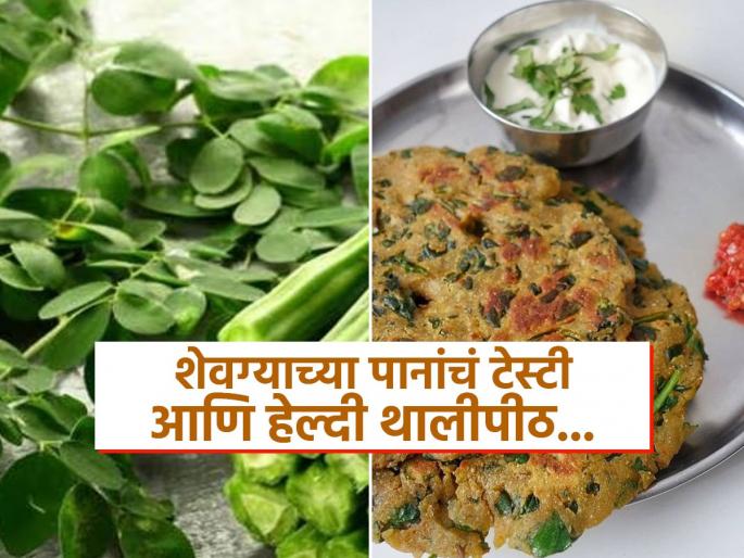 How to make healthy, chrispy and tasty moringa leaves thalipeeth at home | शेवग्याच्या पानांचं खमंग-खुसखुशीत थालीपीठ! टेस्टी तर लागतीलच सोबतच भरपूर पोषणही मिळेल