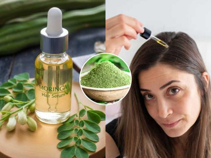 how to stop hair fall in winter naturally at Home best home remedy using moringa leaves for fast hair growth natural dandruff treatment with moringa ingredients | थंडीत केसगळती, कोंड्याने हैराण? शेवग्याच्या पानांमध्ये मिसळा ५ पदार्थ, जालीम उपाय - महिन्याभरात केस वाढतील दुप्पट