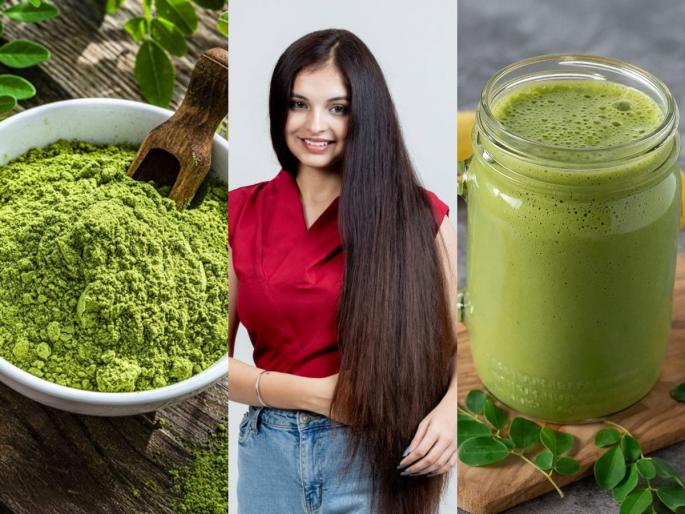 moringa powder vs moringa juice for hair growth best way to use moringa for hair fall control how to use moringa powder for long and thick hair | केसगळती थांबवण्यासाठी शेवग्याची पावडर की ज्यूस? जाणून घ्या लांबसडक केसांचं जबरदस्त ब्यूटी सिक्रेट!