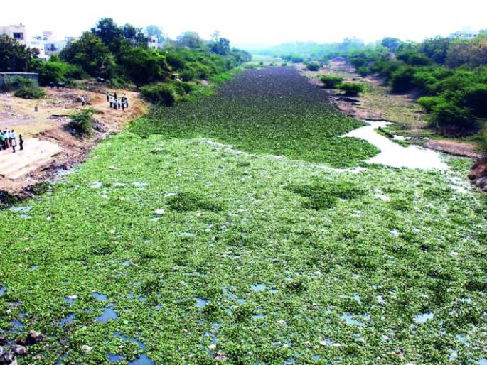 Morna ready to clean up the administration; Appeal appealed by people's representatives | मोर्णा स्वच्छतेसाठी प्रशासन सज्ज; लोकप्रतिनिधींनी केले आवाहन!