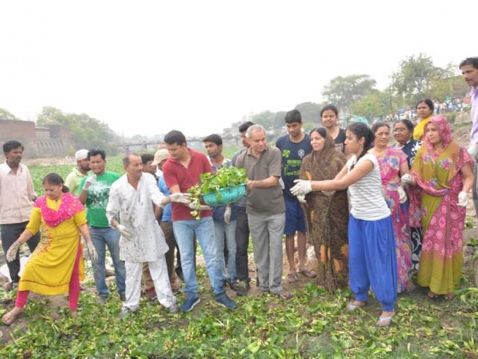 Morna Cleanliness Campaign: ninth phase near the stone bridge | मोर्णा स्वच्छता मोहिम: नवव्या टप्प्यात दगडी पुलाजवळची जलकुंभी काढली Morna Cleanliness Campaign: ninth phase near the stone bridge | मोर्णा स्वच्छता मोहिम: नवव्या टप्प्यात दगडी पुलाजवळची जलकुंभी काढली