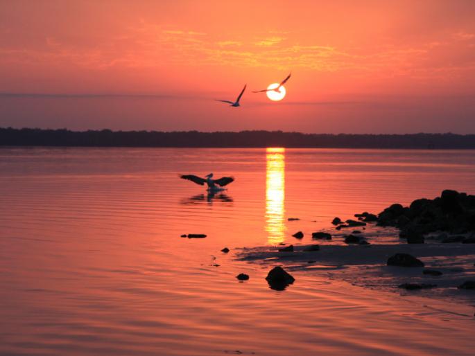 Ananda Tarang - Saguna Bhakti | आनंद तरंग - सगुण भक्ती Ananda Tarang - Saguna Bhakti | आनंद तरंग - सगुण भक्ती