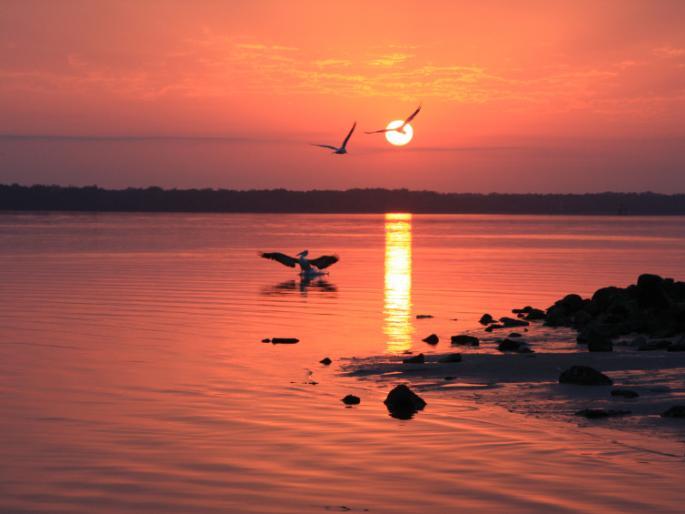 Ananda Tarang: Global Experience | आनंद तरंग: वैश्विक अनुभूती