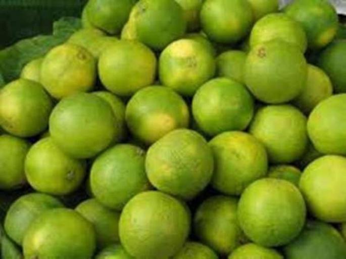 bad effect on orchards due to bad weather after heavy rains | अतिवृष्टीनंतर खराब हवामानामुळे फळबागांवर संक्रांत bad effect on orchards due to bad weather after heavy rains | अतिवृष्टीनंतर खराब हवामानामुळे फळबागांवर संक्रांत
