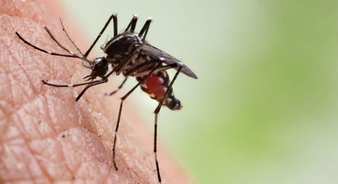 Outbreaks of mosquitoes increased; Municipal Corporation, however, is asleep! | डासांचा प्रकोप वाढला; मनपा मात्र झोपेतच! Outbreaks of mosquitoes increased; Municipal Corporation, however, is asleep! | डासांचा प्रकोप वाढला; मनपा मात्र झोपेतच!