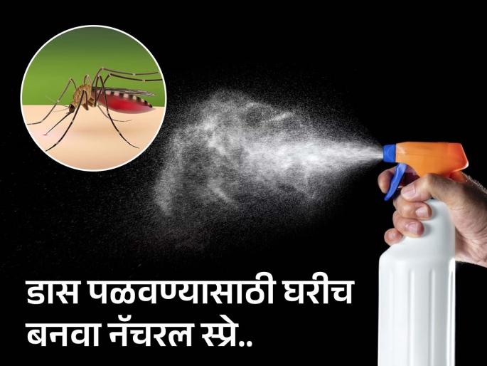 Mosquito repelant spray to remove insect and mosquitos completely | 'या' ३ गोष्टींचं मिश्रण करून घरात शिंपडा, कानाजवळ येऊन घोंगावणार नाही एकही डास...