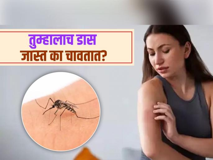 Reasons why are mosquitoes attracted to you more than other people | काही जणांनाच खूप डास चावतात असं का? पावसाळा होईल सुसह्य, पाहा डासांच्या त्रासावर उपाय