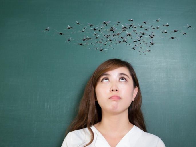 why mosquitoes keep buzzing overhead know the interesting reason behind it | फिरायला गेलात किंवा बागेत डोक्यावर का घोंगावतात डास? जाणून घ्या यामागील मजेशीर कारण why mosquitoes keep buzzing overhead know the interesting reason behind it | फिरायला गेलात किंवा बागेत डोक्यावर का घोंगावतात डास? जाणून घ्या यामागील मजेशीर कारण