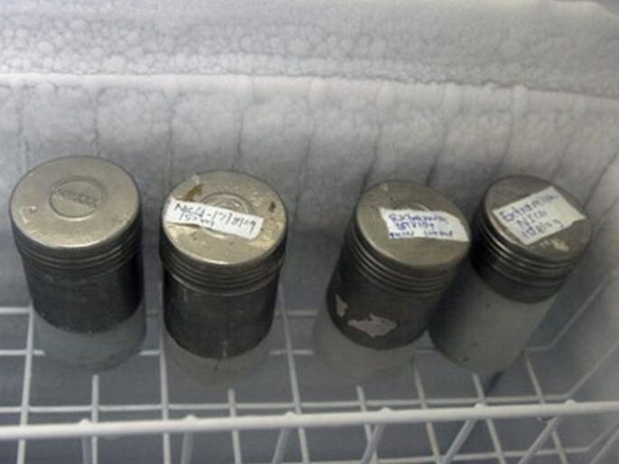 Mother Milk Bank prove lifeline for newborn babies | मदर मिल्क बँक शिशूंसाठी संजीवनी! Mother Milk Bank prove lifeline for newborn babies | मदर मिल्क बँक शिशूंसाठी संजीवनी!