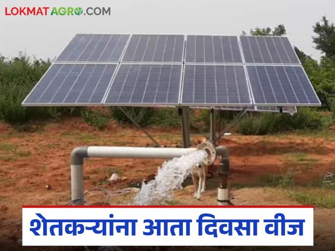 The government has taken this decision to raise funds for the 'Kusum' scheme to provide electricity to farmers during the day | शेतकऱ्यांना दिवसा वीज मिळावी म्हणून 'कुसुम' योजनेच्या निधी उभारणीसाठी शासनाने घेतला 'हा' निर्णय The government has taken this decision to raise funds for the 'Kusum' scheme to provide electricity to farmers during the day | शेतकऱ्यांना दिवसा वीज मिळावी म्हणून 'कुसुम' योजनेच्या निधी उभारणीसाठी शासनाने घेतला 'हा' निर्णय