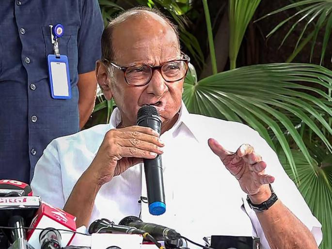 Hindi language should not be compulsory, but students should not hate it Sharad Pawar said clearly on the language | "हिंदी भाषा सक्ती असू नये, पण विद्यार्थ्यांनी द्वेष करु...", भाषेवरुन शरद पवारांनी स्पष्टच सांगितलं Hindi language should not be compulsory, but students should not hate it Sharad Pawar said clearly on the language | "हिंदी भाषा सक्ती असू नये, पण विद्यार्थ्यांनी द्वेष करु...", भाषेवरुन शरद पवारांनी स्पष्टच सांगितलं