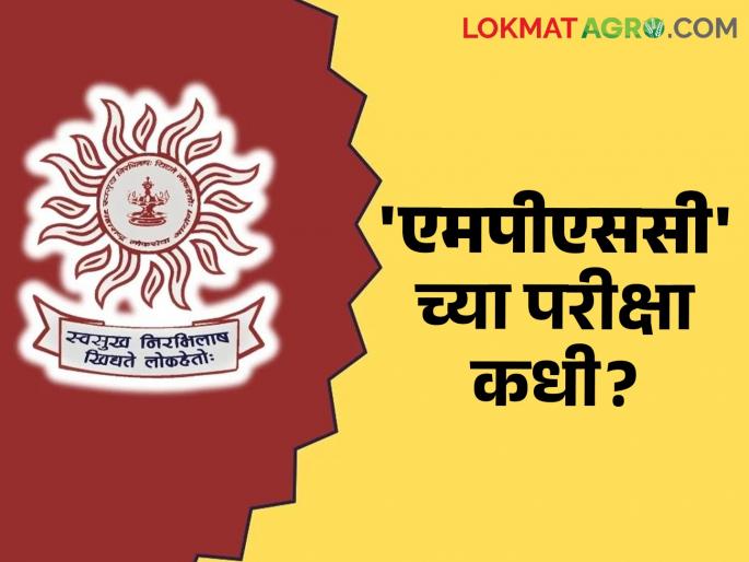 When to announce MPSC revised exam dates? | MPSC Exam; एमपीएससीची परीक्षेच्या सुधारित तारखा केव्हा जाहीर करणार? When to announce MPSC revised exam dates? | MPSC Exam; एमपीएससीची परीक्षेच्या सुधारित तारखा केव्हा जाहीर करणार?