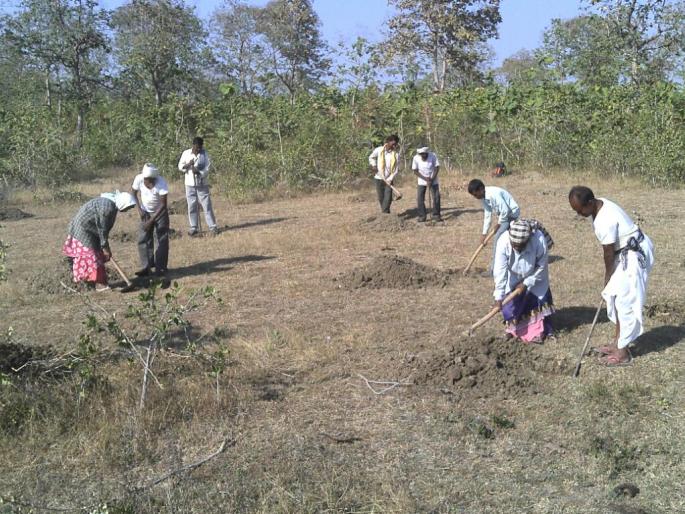 Washim District: Mregs workers' wages | वाशिम जिल्हा : रोहयोच्या कामगारांची मजुरी ‘पीएफएमएस’च्या कचाट्यात !