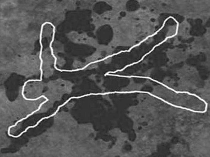 'Do not kill sir, I am the murderer', the accused goes on trial in pune murder case | ‘साहेब मारू नका, मीच खून केलाय’, फिर्यादीच निघाला आरोपी