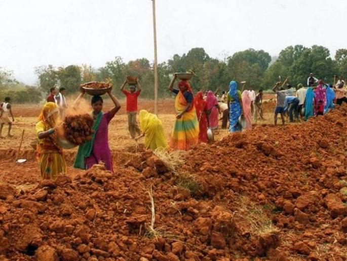 MNREGA works started at 8,642 Gram Panchayat levels in the state! | राज्यात ८,६४२ ग्रामपंचायत स्तरावर ‘रोहयो’ची कामे सुरू! MNREGA works started at 8,642 Gram Panchayat levels in the state! | राज्यात ८,६४२ ग्रामपंचायत स्तरावर ‘रोहयो’ची कामे सुरू!