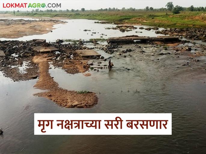 Latest News Rains of Mirig Nakshatra will fall in Few districts of maharashtra read in detail | Maharashtra Rain Alert : राज्यातील 'या' जिल्ह्यांत मृग नक्षत्राच्या सरी बरसणार, वाचा सविस्तर   Latest News Rains of Mirig Nakshatra will fall in Few districts of maharashtra read in detail | Maharashtra Rain Alert : राज्यातील 'या' जिल्ह्यांत मृग नक्षत्राच्या सरी बरसणार, वाचा सविस्तर