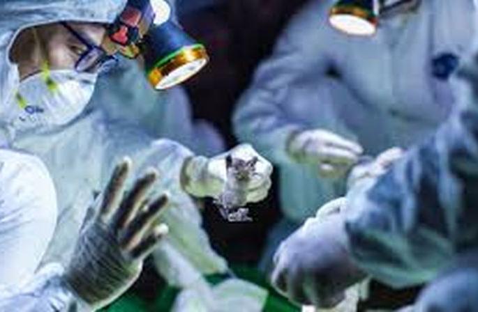 Coronavirus in Akola: Increasing patient and mortality are alarming | CoronaVirus in Akola : रुग्णवाढीचा वेग अन् वाढता मृत्यूदर चिंताजनक Coronavirus in Akola: Increasing patient and mortality are alarming | CoronaVirus in Akola : रुग्णवाढीचा वेग अन् वाढता मृत्यूदर चिंताजनक