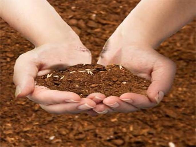 Chaos in the work of lakhs of agricultural workers: Navapur taluka | कृषी विभागातील लाखोंच्या कामात अनागोंदी : नवापूर तालुका