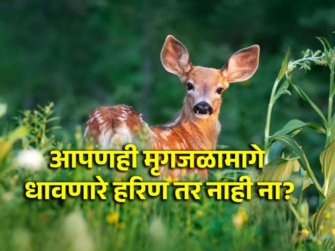 We all run after mirages, just like 'this' deer; Read the beautiful parable! | मृगजळामागे आपण सगळेच धावतो, अगदी 'या' हरणासारखे; वाचा सुंदर बोधकथा! We all run after mirages, just like 'this' deer; Read the beautiful parable! | मृगजळामागे आपण सगळेच धावतो, अगदी 'या' हरणासारखे; वाचा सुंदर बोधकथा!