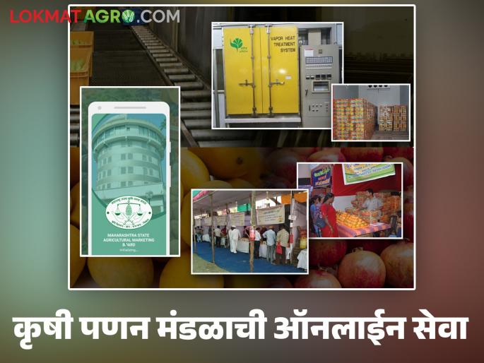 This free online service has been launched to provide information on the schemes and activities of the Agricultural Marketing Board | कृषी पणन मंडळाच्या योजना व उपक्रमांच्या माहितीसाठी सुरु झाली 'ही' मोफत ऑनलाईन सेवा This free online service has been launched to provide information on the schemes and activities of the Agricultural Marketing Board | कृषी पणन मंडळाच्या योजना व उपक्रमांच्या माहितीसाठी सुरु झाली 'ही' मोफत ऑनलाईन सेवा