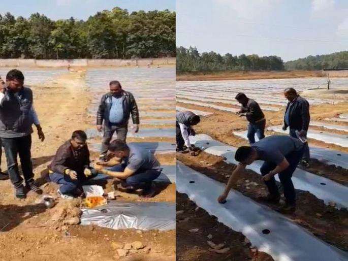 Video : Mahendra Singh Dhoni becomes a farmer; Doing organic farming svg | Video : क्रिकेटपासून दूर असलेला महेंद्रसिंग धोनी बनला शेतकरी; करतोय सेंद्रीय शेती