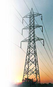 Death of eight buffaloes due to pneumonia | विद्युतप्रवाहामुळे आठ म्हशींचा मृत्यू Death of eight buffaloes due to pneumonia | विद्युतप्रवाहामुळे आठ म्हशींचा मृत्यू