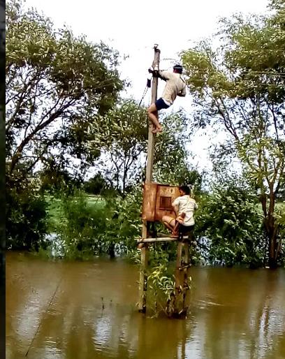 Temporary shutdown of 499 Rohrits in the district | सोलापूर जिल्ह्यातील १९५८ रोहित्रांचा वीजपुरवठा तात्पुरता बंद Temporary shutdown of 499 Rohrits in the district | सोलापूर जिल्ह्यातील १९५८ रोहित्रांचा वीजपुरवठा तात्पुरता बंद