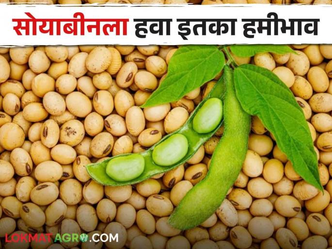 Change laws to for giving Minimum Support Price; The state government's demand to the Agricultural price Commission | Minimum Support Price हमीभाव देण्यासाठी कायदे बदला; राज्य सरकारची कृषिमूल्य आयोगाकडे मागणी