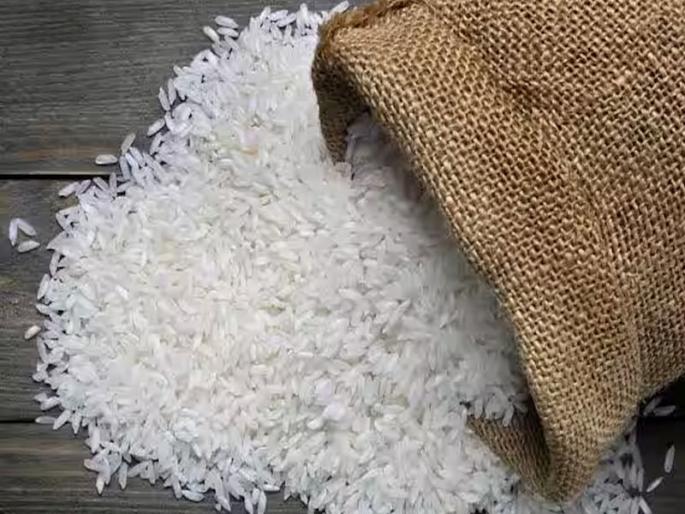 Dal in khichdi, vegetables in pulao; Rice prices hit high after export ban | खिचडीत डाळ, पुलावमध्ये भाज्याच; तांदूळ निर्यातबंदीनंतर भाव उच्चांकावर Dal in khichdi, vegetables in pulao; Rice prices hit high after export ban | खिचडीत डाळ, पुलावमध्ये भाज्याच; तांदूळ निर्यातबंदीनंतर भाव उच्चांकावर