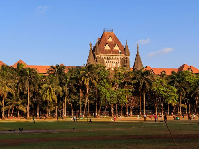 Act of acquiring land without compensation is illegal; High Court criticizes government | भरपाईशिवाय जमीन ताब्यात घेण्याचे कृत्य बेकायदा; उच्च न्यायालयाची सरकारवर टीका