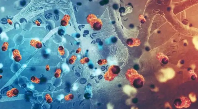 Jaw and dental implants for the first time after mucormycosis | म्युकरमायकोसिसनंतर पहिल्यांदाच जबडा व दंत प्रत्यारोपण Jaw and dental implants for the first time after mucormycosis | म्युकरमायकोसिसनंतर पहिल्यांदाच जबडा व दंत प्रत्यारोपण