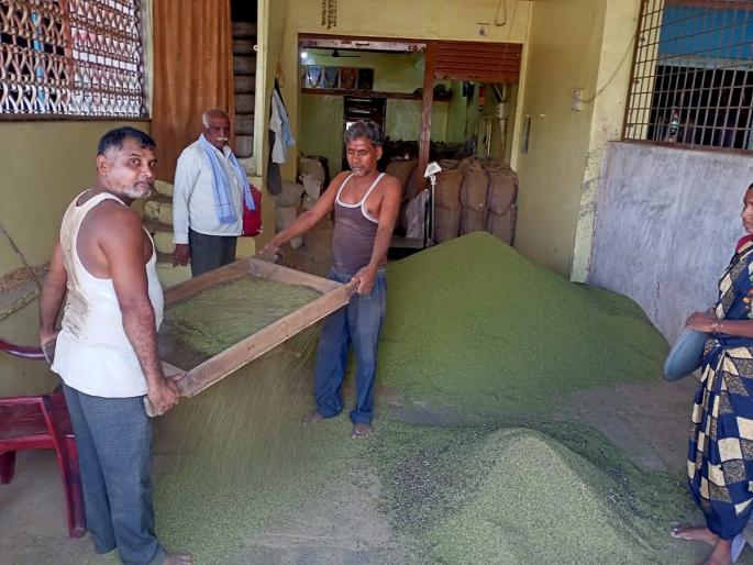 volume of rain; Inflow of agricultural goods decreased in the market committee! | पावसाचा खंड; बाजार समितीत शेतमालाची आवक घटली ! volume of rain; Inflow of agricultural goods decreased in the market committee! | पावसाचा खंड; बाजार समितीत शेतमालाची आवक घटली !