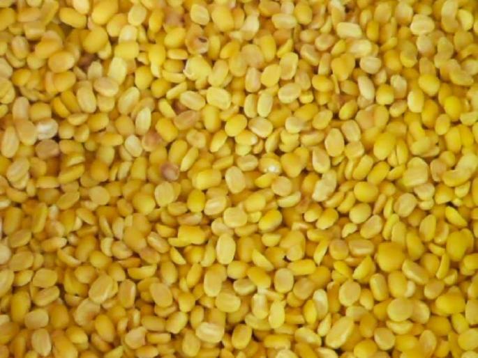 Because of the lack of purchasing power plants, the farmers of Mung grower are in need of protection | हमीभाव खरेदी केंद्र नसल्याने मूग उत्पादक शेतकऱ्यांची परवड Because of the lack of purchasing power plants, the farmers of Mung grower are in need of protection | हमीभाव खरेदी केंद्र नसल्याने मूग उत्पादक शेतकऱ्यांची परवड