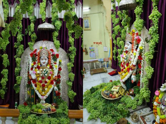 On the occasion of Papamochini Ekadashi, Decoration of a quintal of grapes to the idol of Sant Muktabai | पापमोचिनी एकादशीनिमित्त आदीशक्ती संत मुक्ताबाईला १ क्विंटल द्राक्षांची आरास On the occasion of Papamochini Ekadashi, Decoration of a quintal of grapes to the idol of Sant Muktabai | पापमोचिनी एकादशीनिमित्त आदीशक्ती संत मुक्ताबाईला १ क्विंटल द्राक्षांची आरास