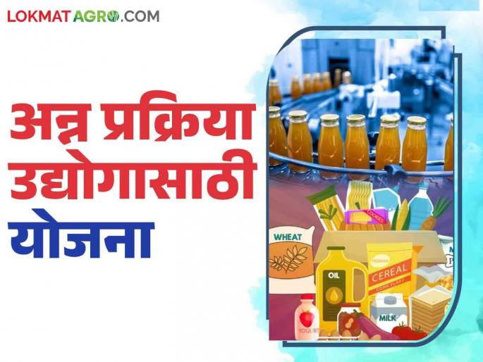 Which processing industries can be started under the Chief Minister's Agriculture and Food Processing Scheme? Read in detail | मुख्यमंत्री कृषी आणि अन्न प्रक्रिया योजनेतून कोणकोणते प्रक्रिया उद्योग सुरु करता येतात? वाचा सविस्तर