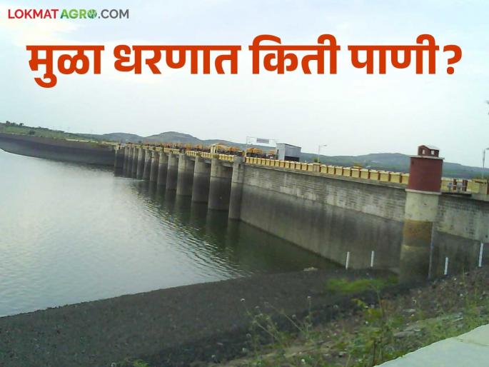 Mula Dam Water : Huge reduction in water storage of Mula Dam; Last round of irrigation for agriculture begins | Mula Dam Water : मुळा धरणाच्या पाणीसाठ्यात मोठी घट; शेतीसाठी सुरु आहे शेवटचे आवर्तन
