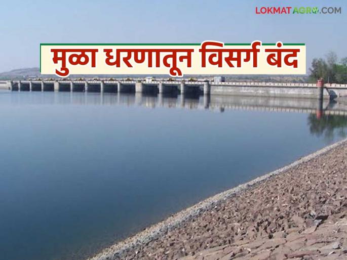 Mula Dam on the brink; Discharge stopped after three months, no water for Jayakwadi now | मुळा धरण काठोकाठ; तब्बल तीन महिन्यानंतर विसर्ग बंद, जायकवाडीसाठी आता पाणी नाही Mula Dam on the brink; Discharge stopped after three months, no water for Jayakwadi now | मुळा धरण काठोकाठ; तब्बल तीन महिन्यानंतर विसर्ग बंद, जायकवाडीसाठी आता पाणी नाही