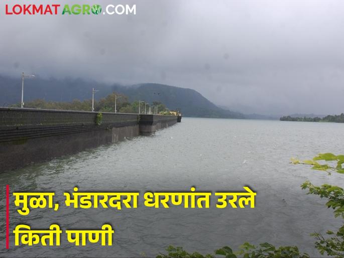 62 percent water storage in Mula dam and 58 percent water storage in Bhandardara | मुळा धरणामध्ये ६२ तर भंडारदरात ५८ टक्के पाणीसाठा 62 percent water storage in Mula dam and 58 percent water storage in Bhandardara | मुळा धरणामध्ये ६२ तर भंडारदरात ५८ टक्के पाणीसाठा