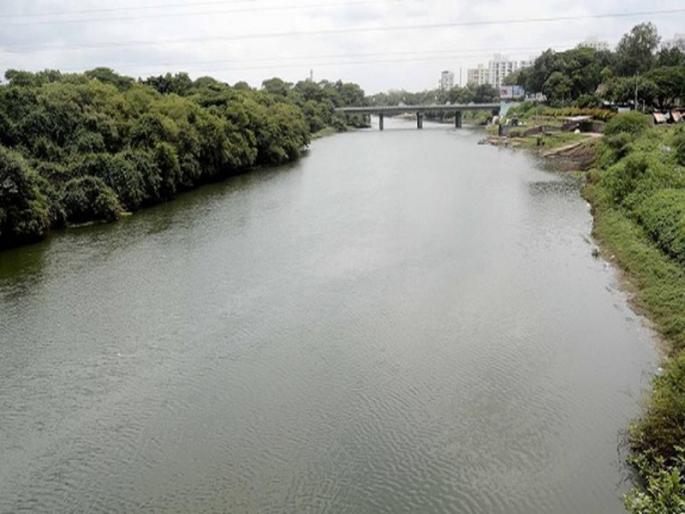 Pune residents strongly oppose the cutting of thousands of trees May 8 hearing about riverside trees | हजारो झाडे तोडण्याला पुणेकरांचा कडाडून विरोध; नदीकाठच्या झाडांविषयी ८ मेला सुनावणी Pune residents strongly oppose the cutting of thousands of trees May 8 hearing about riverside trees | हजारो झाडे तोडण्याला पुणेकरांचा कडाडून विरोध; नदीकाठच्या झाडांविषयी ८ मेला सुनावणी