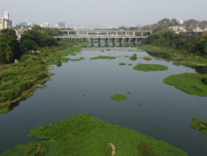 mula-Mutha river clean in three years; We will implement a six-point plan | Mula-Mutha River | मुळा-मुठा तीन वर्षांत स्वच्छ; सहा कलमी योजना राबवू mula-Mutha river clean in three years; We will implement a six-point plan | Mula-Mutha River | मुळा-मुठा तीन वर्षांत स्वच्छ; सहा कलमी योजना राबवू