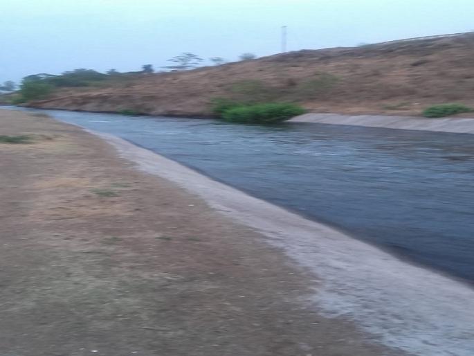 Radish increased left canal frequency; MLA Chari resumes | मुळा डाव्या कालव्याचे आवर्तन वाढविले; आमदार चारी पुन्हा सुरू Radish increased left canal frequency; MLA Chari resumes | मुळा डाव्या कालव्याचे आवर्तन वाढविले; आमदार चारी पुन्हा सुरू