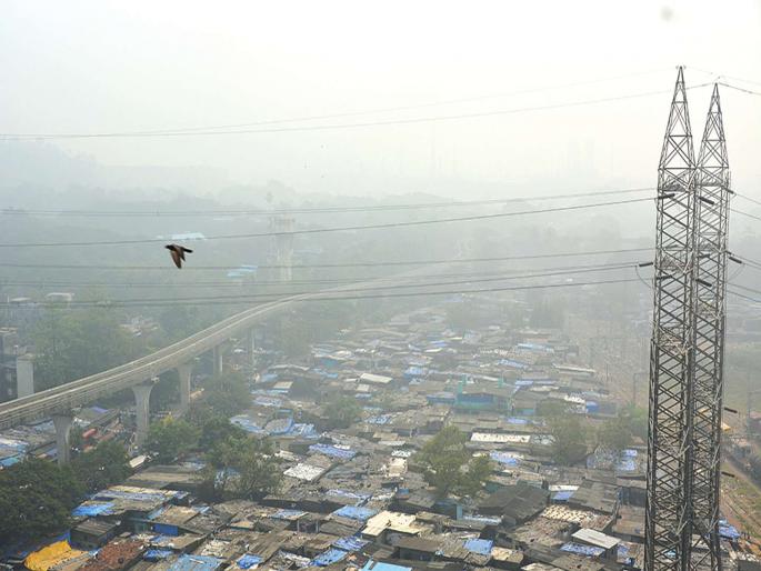 Extraction of 'tree plan' on Mumbapuri lost in air pollution; | वायुप्रदूषणात हरवत चाललेल्या मुंबापुरीवर ‘वृक्ष योजने’चा उतारा Extraction of 'tree plan' on Mumbapuri lost in air pollution; | वायुप्रदूषणात हरवत चाललेल्या मुंबापुरीवर ‘वृक्ष योजने’चा उतारा