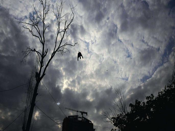 Monsoon in the state will be active for a week; | राज्यात मान्सून आठवडाभर सक्रिय राहणार; हवामान विभागाचा अंदाज
