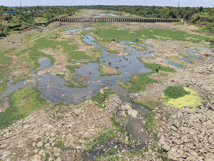 Drought crisis in 6 districts of the state | राज्यातील २४ जिल्ह्यांमध्ये भीषण दुष्काळाचे संकट Drought crisis in 6 districts of the state | राज्यातील २४ जिल्ह्यांमध्ये भीषण दुष्काळाचे संकट