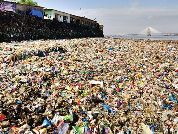 Millions of tonnes of waste collected from Dadar Chowpatty; Cleanliness has been underway for the past three years | दादर चौपाटीवरून जमा केला लाखो टन कचरा; पावणेतीन वर्षांपासून सुरू आहे सफाई Millions of tonnes of waste collected from Dadar Chowpatty; Cleanliness has been underway for the past three years | दादर चौपाटीवरून जमा केला लाखो टन कचरा; पावणेतीन वर्षांपासून सुरू आहे सफाई