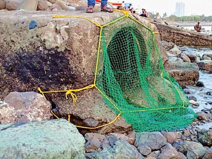 Mumbai's garbage stops in the sea; Trash broom 'mechanism implemented | मुंबईचा कचरा समुद्रात जाण्यास अटकाव; ट्रॅश ब्रूम’ यंत्रणा कार्यान्वित Mumbai's garbage stops in the sea; Trash broom 'mechanism implemented | मुंबईचा कचरा समुद्रात जाण्यास अटकाव; ट्रॅश ब्रूम’ यंत्रणा कार्यान्वित